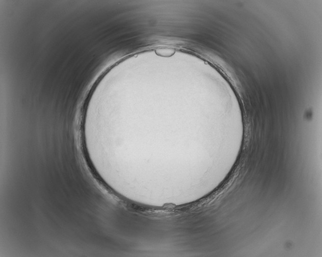 X0000116321235201001130957