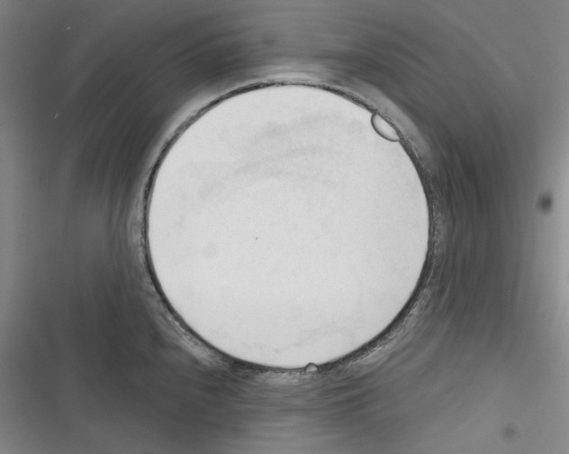 X0000116321240201001130957