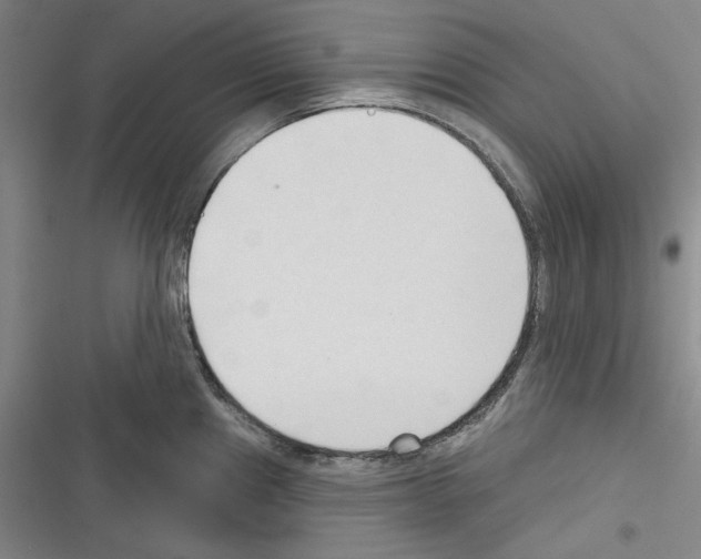 X0000116321241201001130957