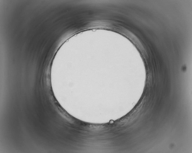 X0000116321242201001130957