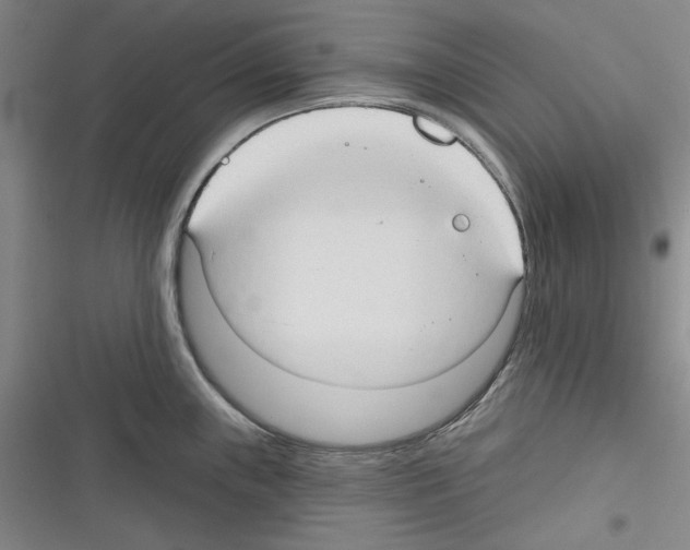 X0000116321243201001130957