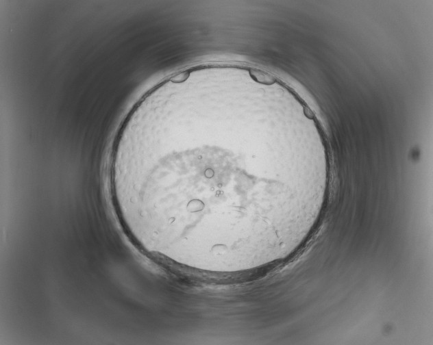 X0000116321245201001130957