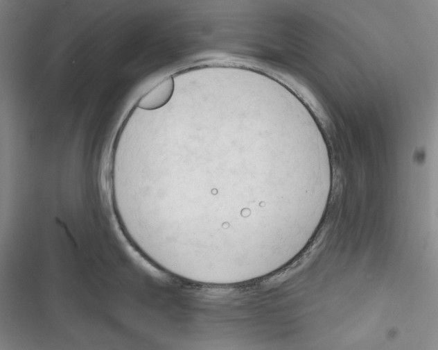 X0000116321247201001130957