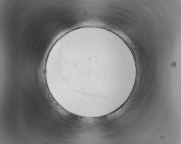 X0000116321248201001130957