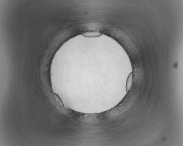 X0000116321249201001130956