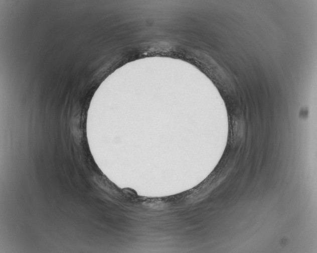 X0000116321250201001130956