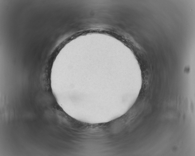 X0000116321256201001130956