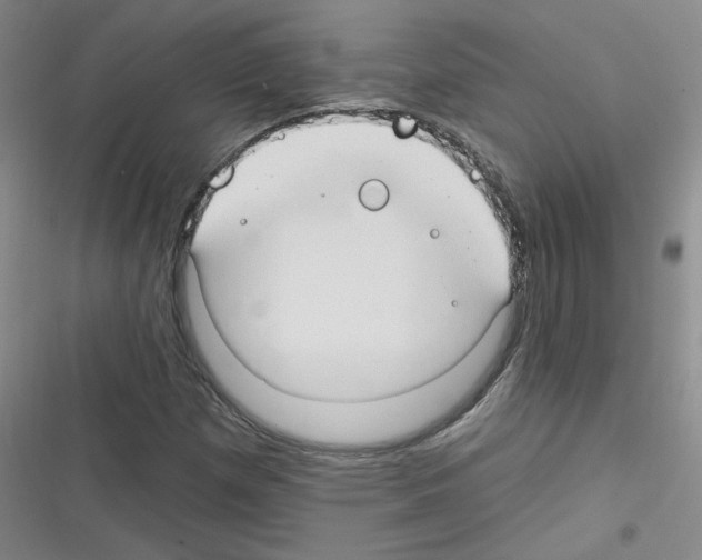 X0000116321257201001130956