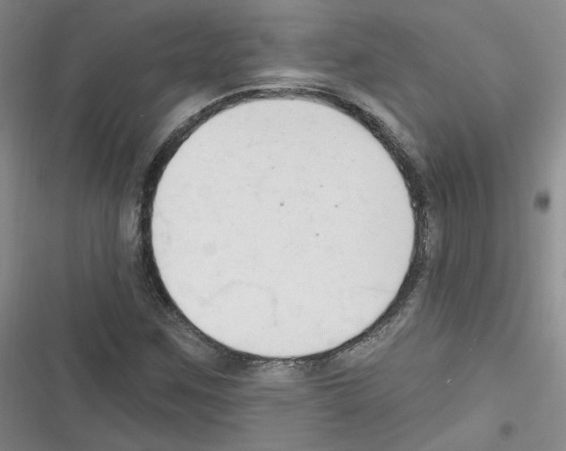 X0000116321259201001130956