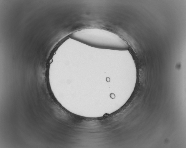 X0000116321260201001130956