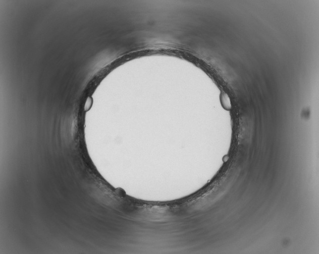 X0000116321261201001130956