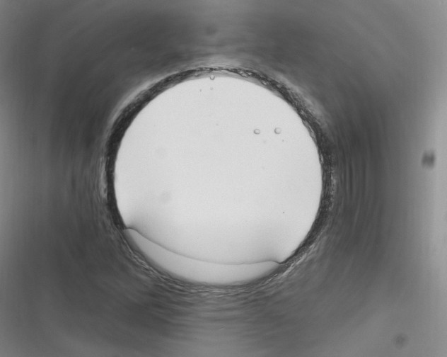 X0000116321262201001130956