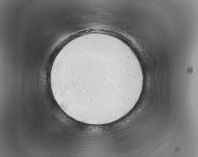 X0000116321263201001130956