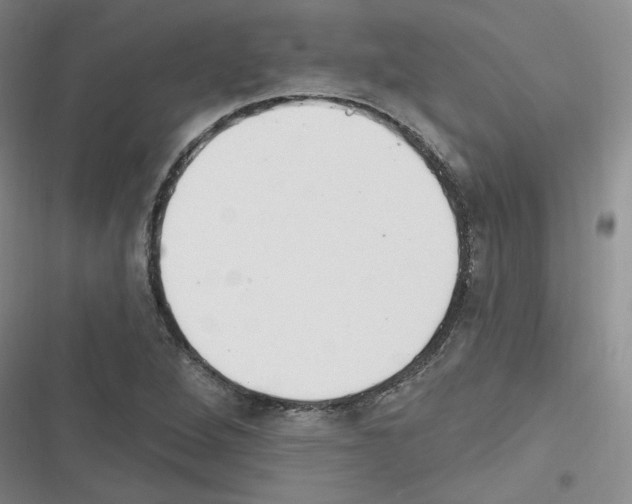 X0000116321264201001130956