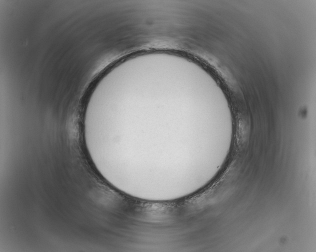 X0000116321266201001130956