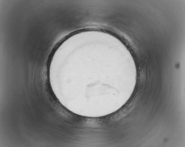 X0000116321267201001130956