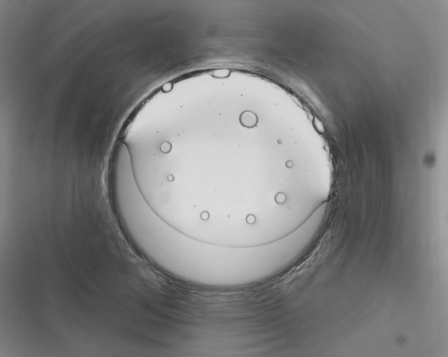 X0000116321268201001130956