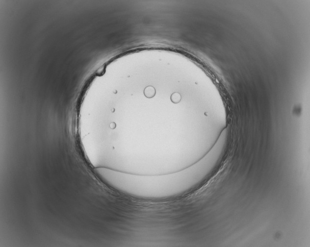 X0000116321269201001130956