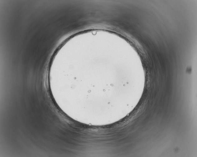 X0000116321272201001130956