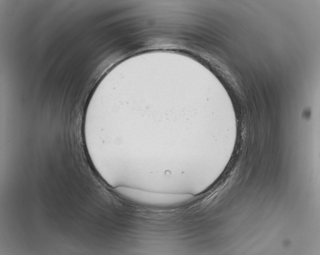 X0000116321273201001130956