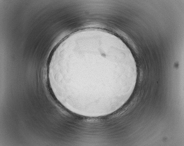 X0000116321274201001130956