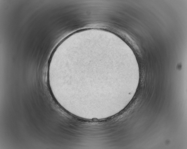 X0000116321276201001130956