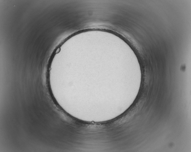 X0000116321277201001130956