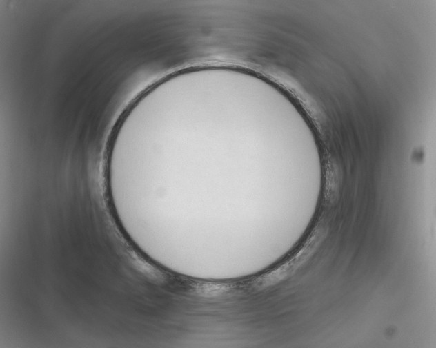 X0000116321278201001130956