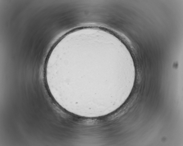 X0000116321279201001130956