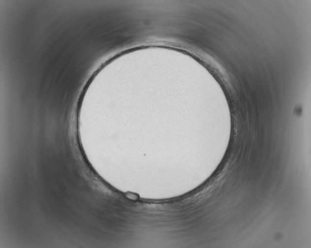 X0000116321280201001130956