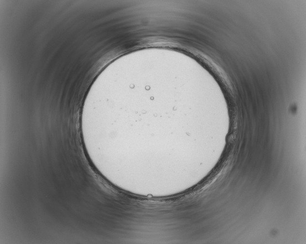 X0000116321281201001130956