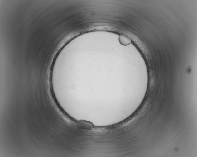 X0000116321282201001130956