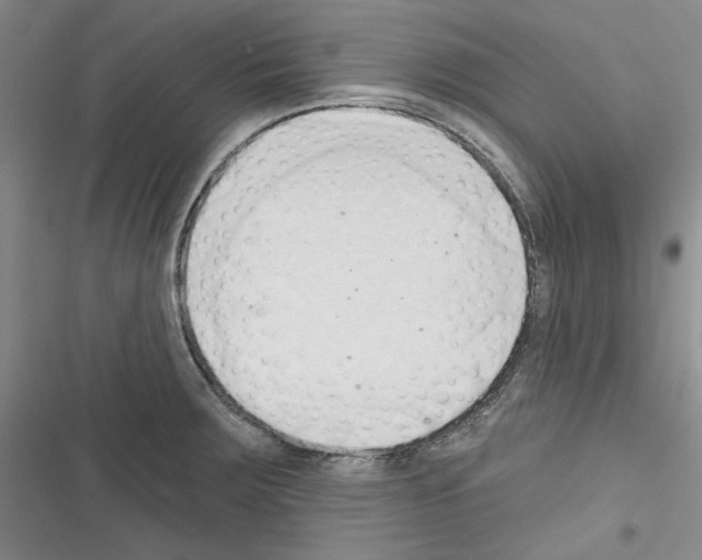 X0000116321283201001130956