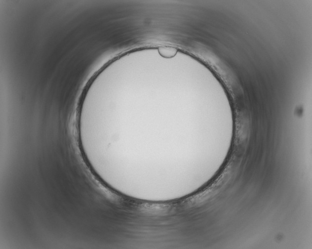 X0000116321286201001130956