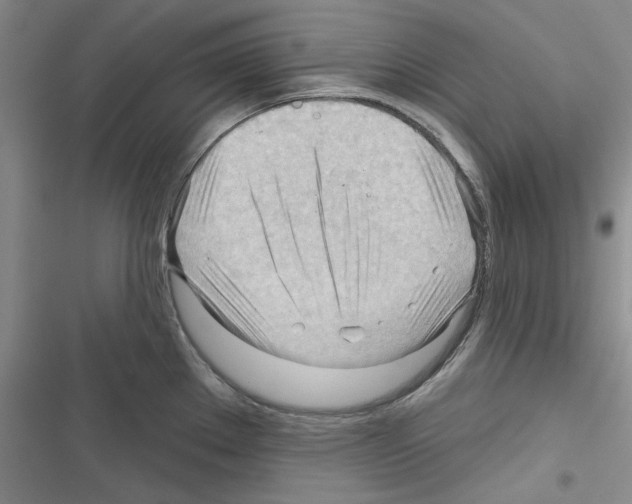 X0000116321289201001130956