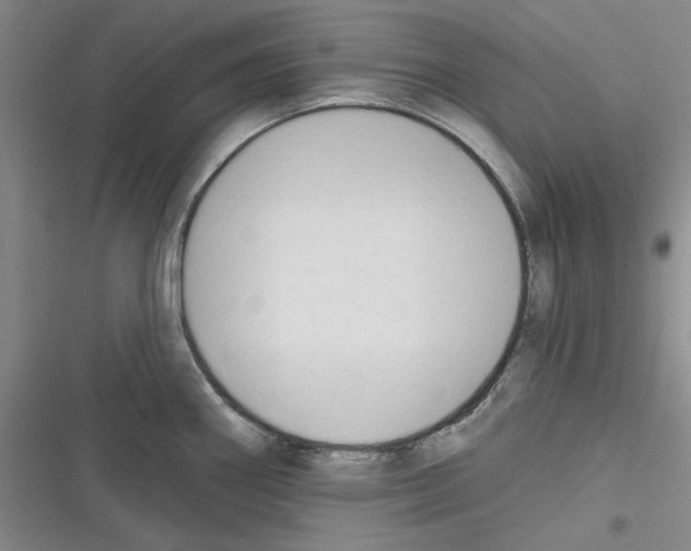 X0000116321290201001130956