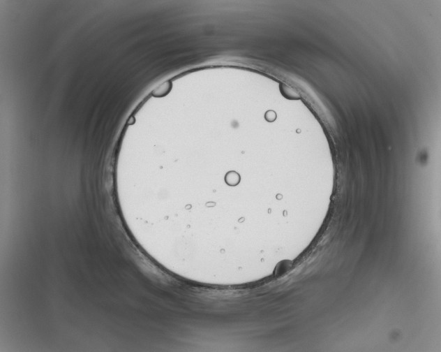 X0000116321292201001130955