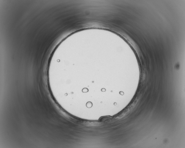 X0000116321293201001130955