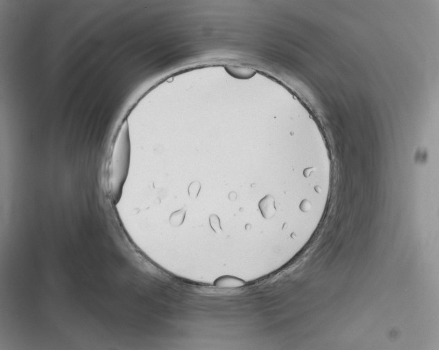 X0000116321296201001130955