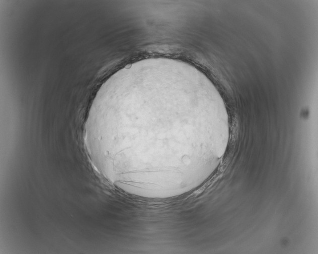 X0000116321297201001130955