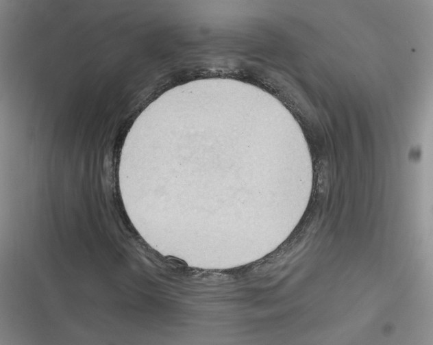 X0000116321298201001130955