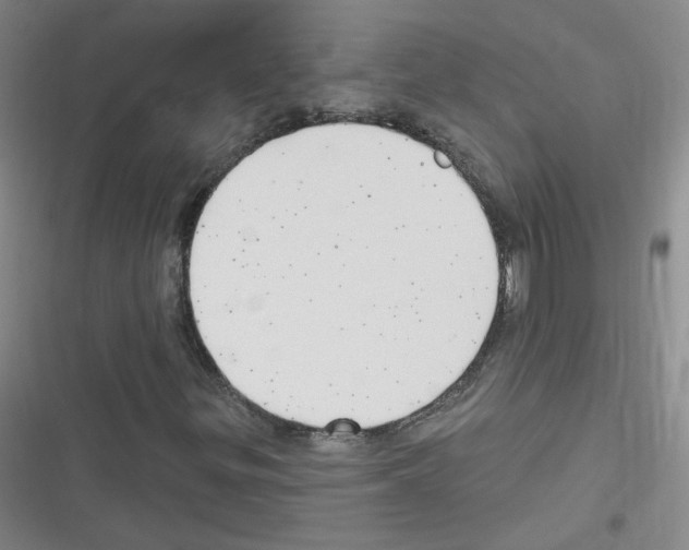 X0000116321299201001130955