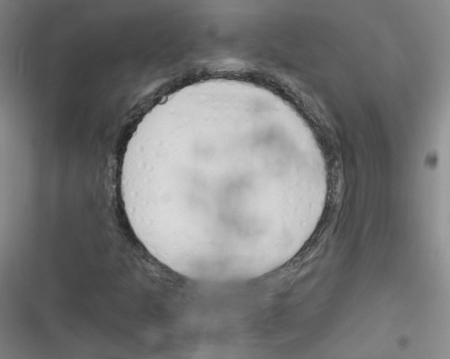 X0000116321301201001130955