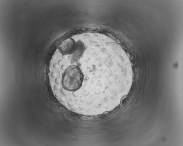 X0000116321302201001130955