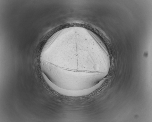 X0000116321303201001130955