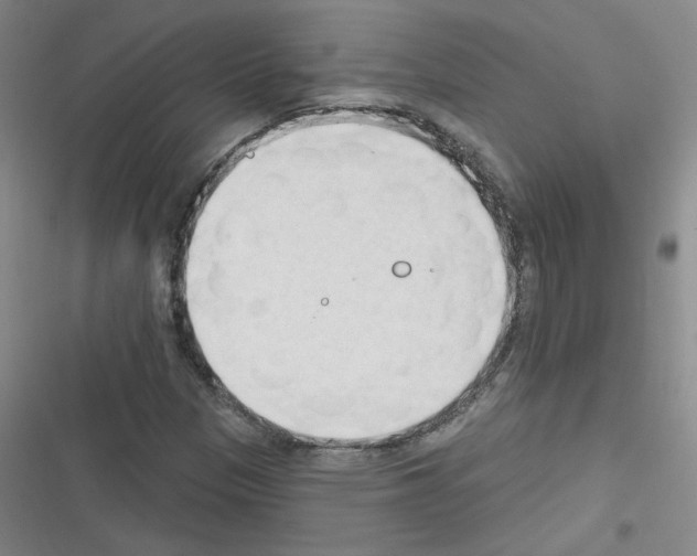 X0000116321305201001130955