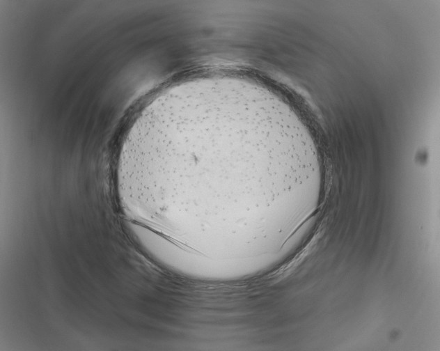 X0000116321306201001130955