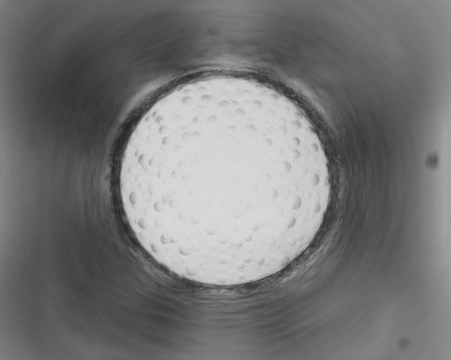 X0000116321307201001130955