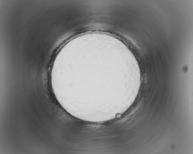 X0000116321309201001130955