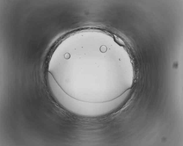 X0000116321310201001130955